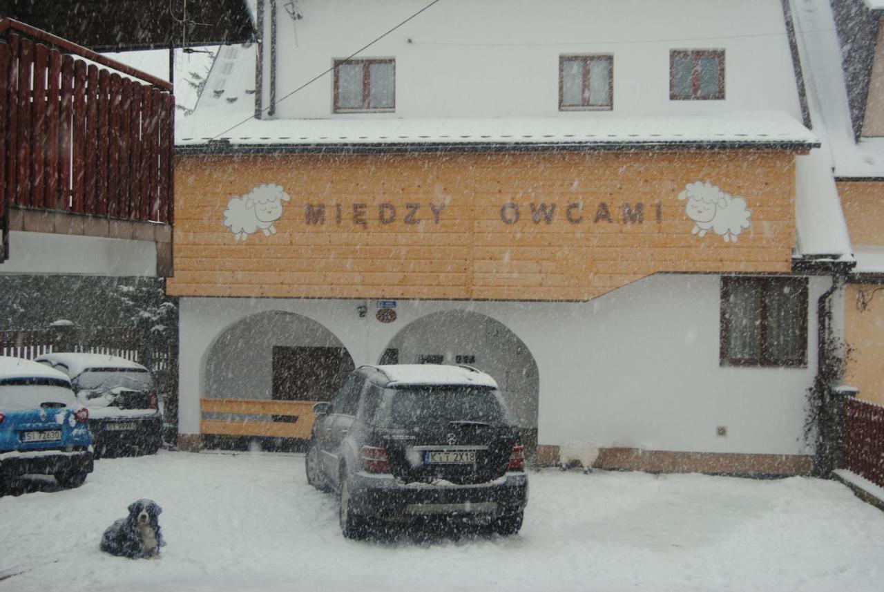 スロモフツェ・ビジネMiedzy Owcamiアパートメント エクステリア 写真